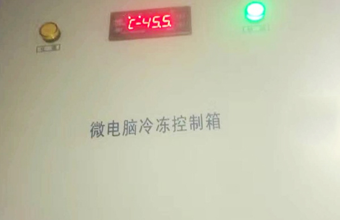 超低温冷库 超低温冷库